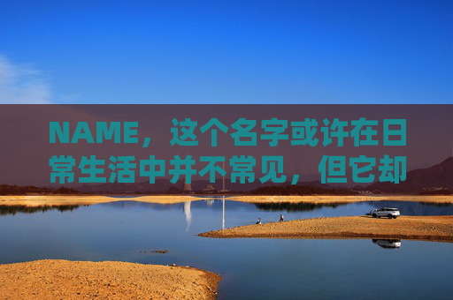 NAME，这个名字或许在日常生活中并不常见，但它却在某些领域里扮演着重要的角色。今天，让我们一起来探索这个名字背后的故事和意义